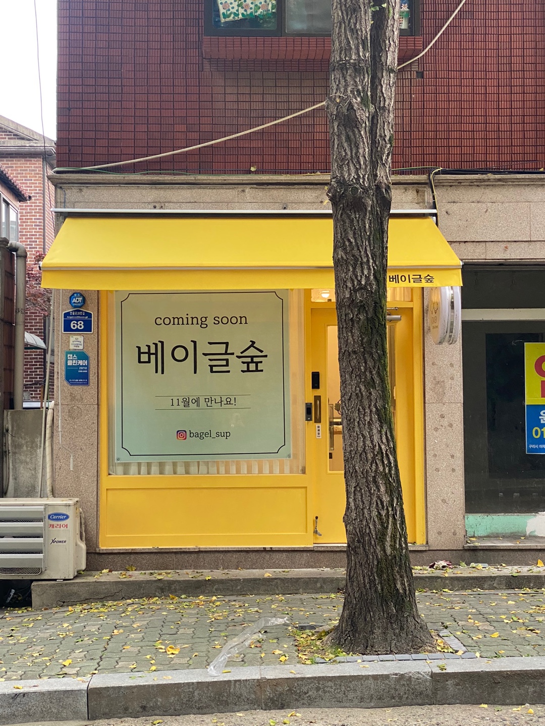 /user/d/dawon3277/editor/2401/22e720d2ac851b6c77961905cd402363_1704985498_597.jpg 이미지크게보기