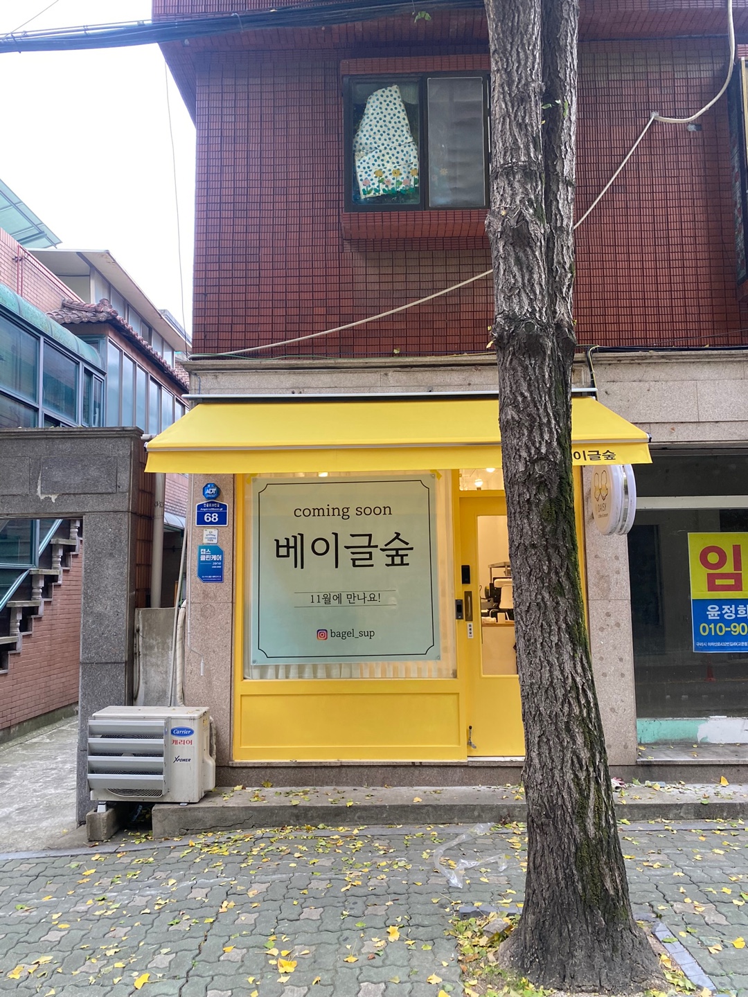 /user/d/dawon3277/editor/2401/22e720d2ac851b6c77961905cd402363_1704985498_7229.jpg 이미지크게보기