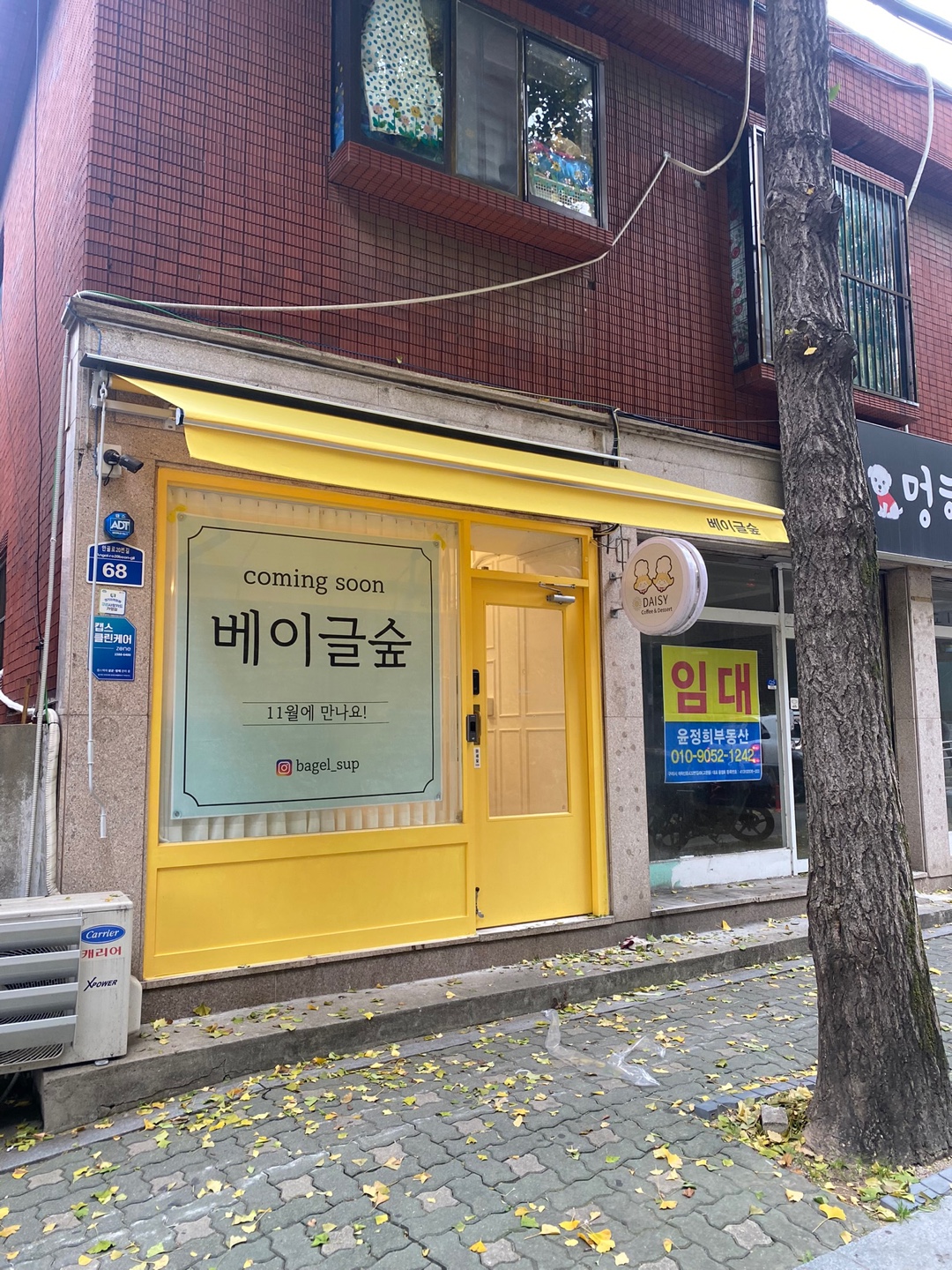 /user/d/dawon3277/editor/2401/22e720d2ac851b6c77961905cd402363_1704985498_8599.jpg 이미지크게보기